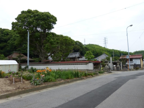 画像18